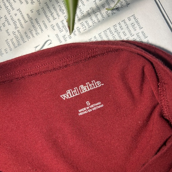 Wild Fable brick red cropped tee - Picture 3 of 4